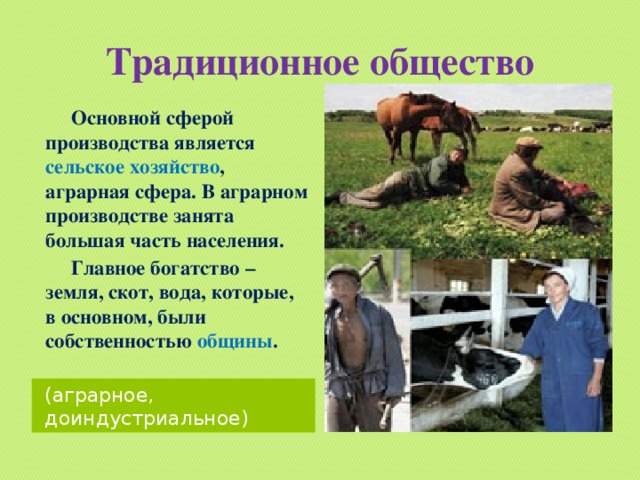 Презентация на тему традиционное общество