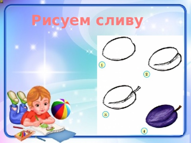 Рисуем сливу 