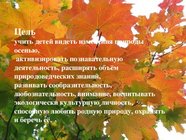  Цель  учить детей видеть изменения природы осенью,  активизировать познавательную деятельность, расширять объём природоведческих знаний, развивать сообразительность, любознательность, внимание, воспитывать экологически культурную личность, способную любить родную природу, охранять и беречь её.   