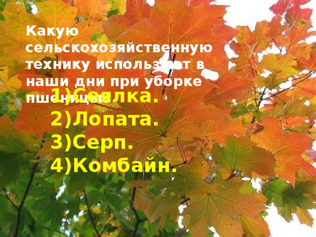 Какую сельскохозяйственную технику используют в наши дни при уборке пшеницы? Сеялка. Лопата. Серп. Комбайн.  