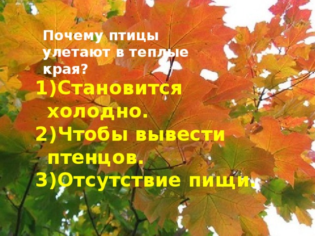 Почему птицы улетают в теплые края? Становится холодно. Чтобы вывести птенцов. Отсутствие пищи.  