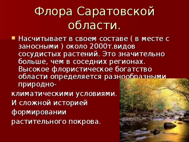 Флора Саратовской области. Насчитывает в своем составе ( в месте с заносными ) около 2000т.видов сосудистых растений. Это значительно больше, чем в соседних регионах. Высокое флористическое богатство области определяется разнообразными природно- климатическими условиями. И сложной историей формировании растительного покрова. 