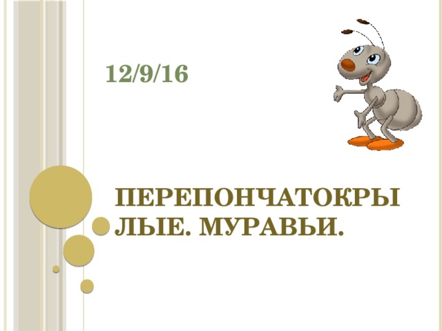 12/9/16 Перепончатокрылые. Муравьи. 