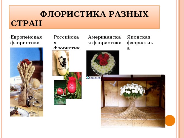   ФЛОРИСТИКА РАЗНЫХ СТРАН Европейская флористика Российская флористика Американская флористика Японская флористика 