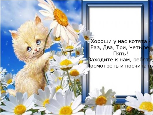 Хороши у нас котята -  Раз, Два, Три, Четыре, Пять!  Заходите к нам, ребята,  Посмотреть и посчитать! 
