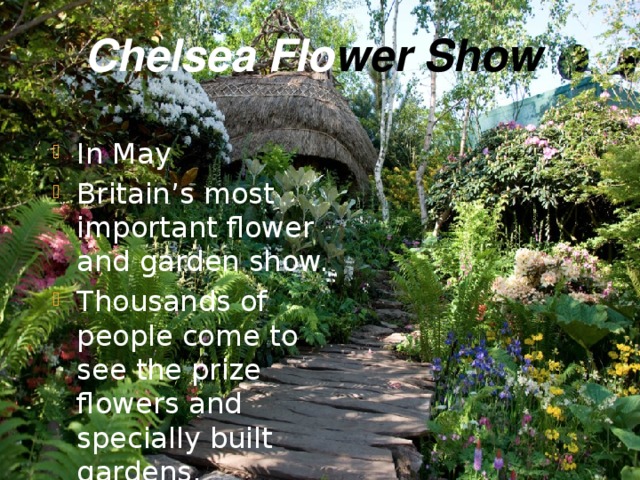 Chelsea Flo wer  Show In May Britain’s most important flower and garden show. Thousands of people come to see the prize flowers and specially built gardens. 