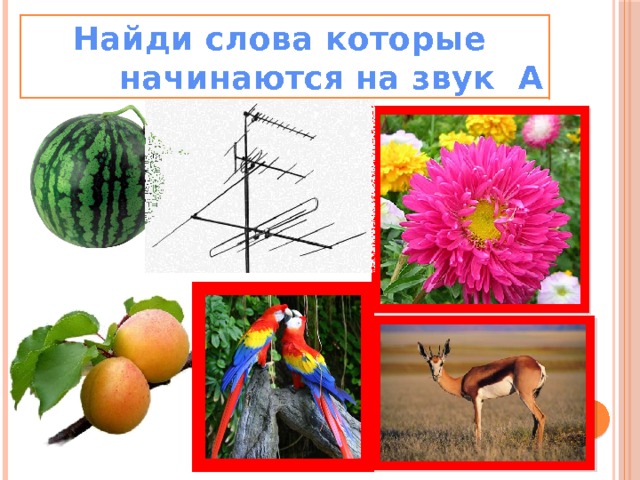 Найди слова которые  начинаются на звук А 