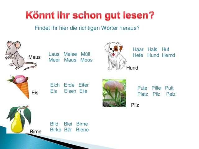 Findet ihr hier die richtigen Wörter heraus? Haar Hals Huf Hefe Hund Hemd Laus Meise Müll Meer Maus Moos Maus Hund Elch Erde Eifer Eis Eisen Eile Pute Pille Pult Platz Pilz Pelz Eis Pilz Bild Blei Birne Birke Bär Biene Birne