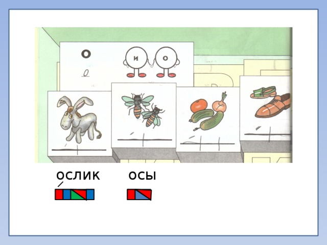 ослик осы