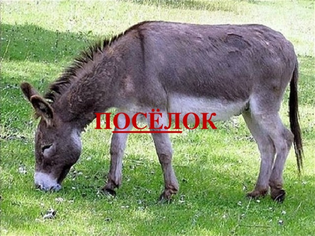 П ОСЁЛ ОК 