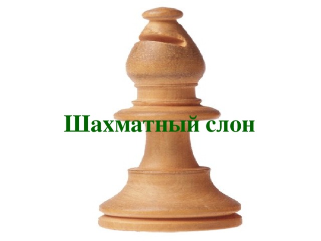 Шахматный слон 