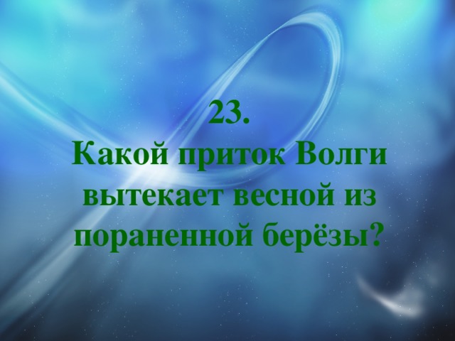 23.  Какой приток Волги вытекает весной из пораненной берёзы? 