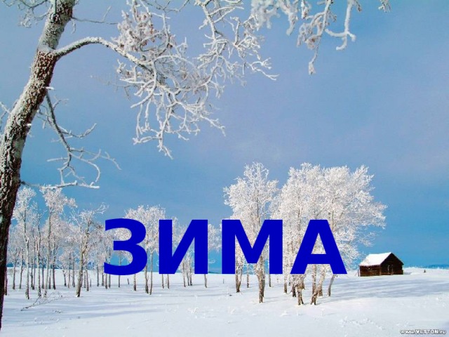 МА ЗИ Зима 