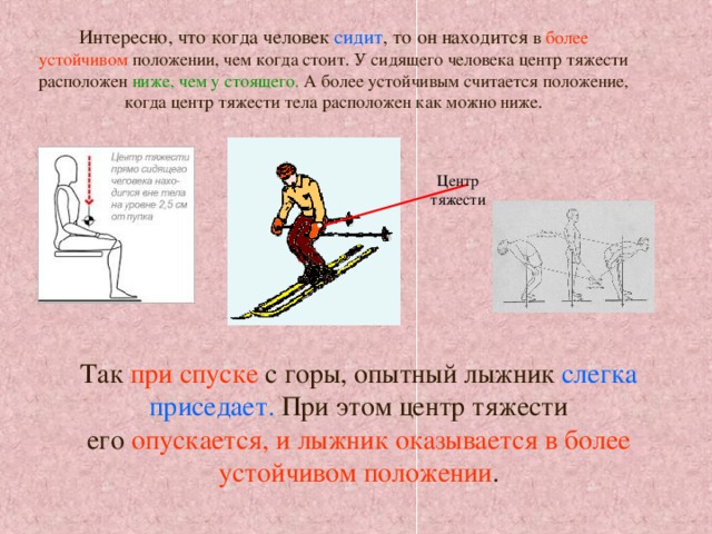 Интересно, что когда человек  сидит , то он находится в  более устойчивом  положении, чем когда стоит. У сидящего человека центр тяжести расположен  ниже, чем у стоящего.  А более устойчивым считается положение, когда центр тяжести тела расположен как можно ниже. Центр тяжести Так  при спуске  с горы, опытный лыжник  слегка приседает.  При этом центр тяжести его  опускается, и лыжник оказывается в более устойчивом положении . 
