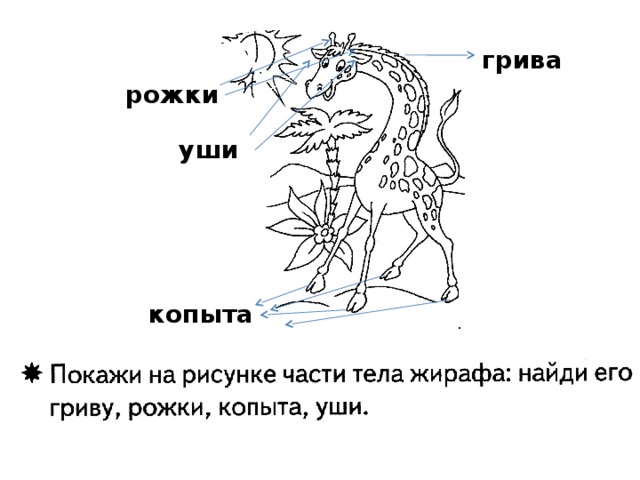 Презентация по математике средняя группа