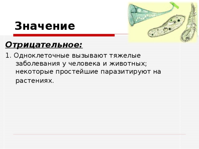 Значение Отрицательное: 1. Одноклеточные вызывают тяжелые заболевания у человека и животных; некоторые простейшие паразитируют на растениях.  