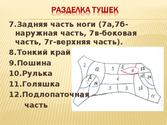 Верхний тонкий край. Подлопаточная часть. Подлопаточный отруб. Говядина лопаточная часть и подлопаточная часть. Голяшка тонкий край.