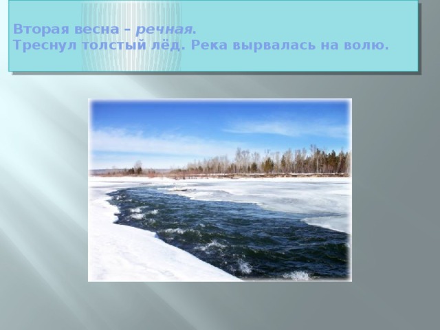  Вторая весна – речная.  Треснул толстый лёд. Река вырвалась на волю.   