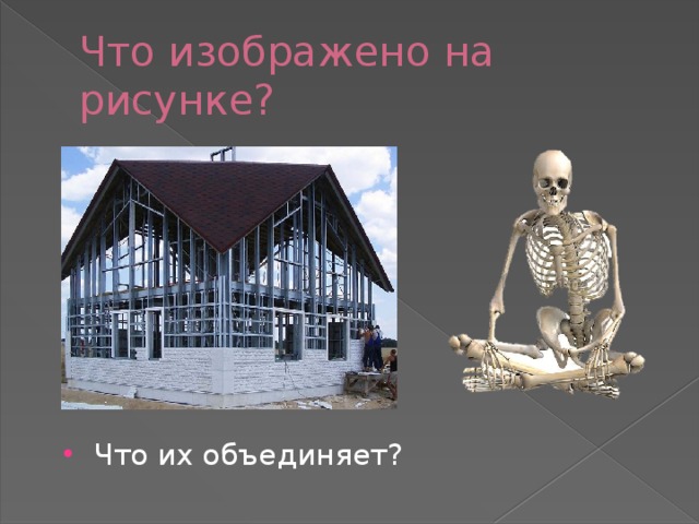 Что изображено на рисунке? Что их объединяет? 