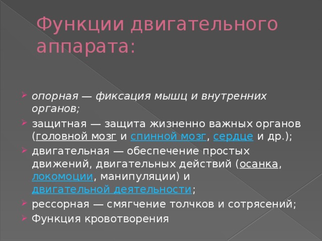 Функции двигательного аппарата: опорная — фиксация мышц и внутренних органов; защитная — защита жизненно важных органов ( головной мозг  и  спинной мозг ,  сердце  и др.); двигательная — обеспечение простых движений, двигательных действий ( осанка ,  локомоции , манипуляции) и  двигательной деятельности ; рессорная — смягчение толчков и сотрясений; Функция кровотворения 