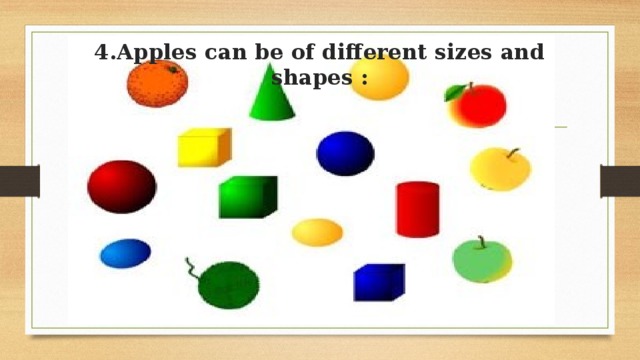 4.Apples can be of different sizes and shapes :