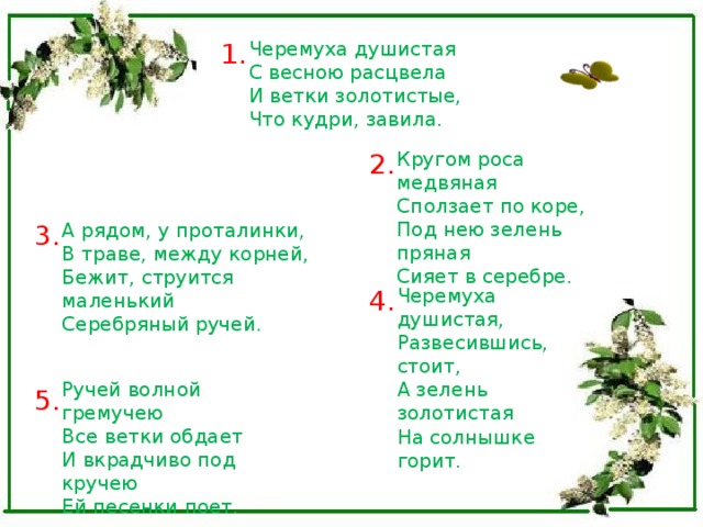 Душистый план песня