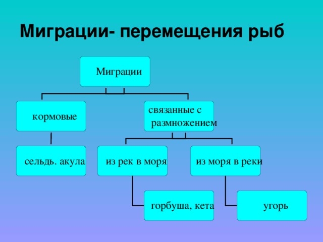 Миграции- перемещения рыб 