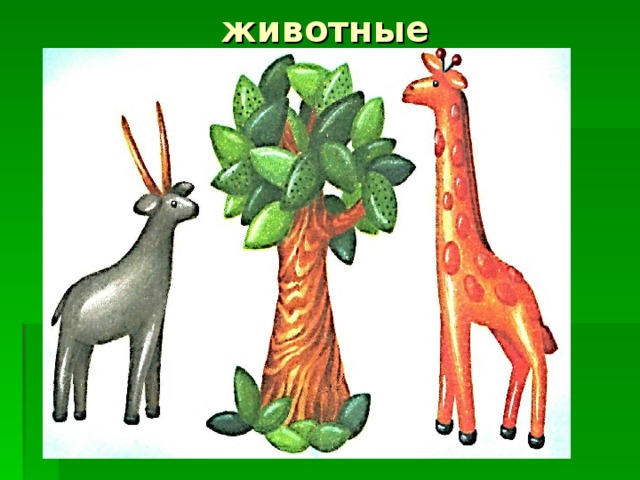 животные 