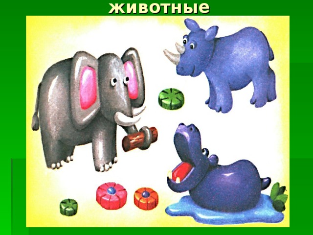 животные 