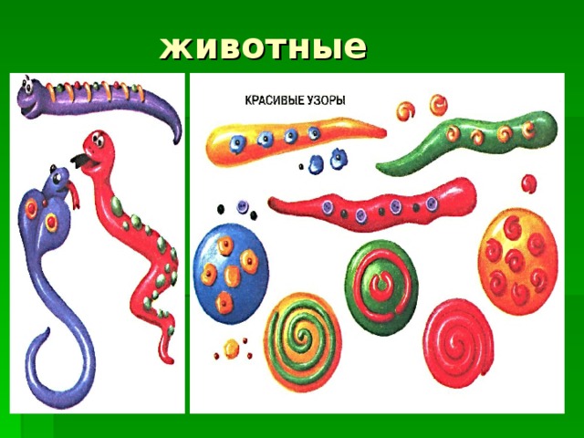 животные 