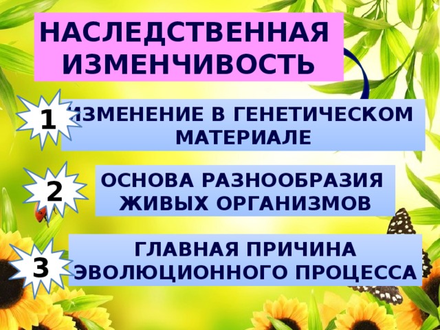 Наследственная изменчивость 1 Изменение в генетическом материале 2 Основа разнообразия живых организмов Главная причина Эволюционного процесса 3 