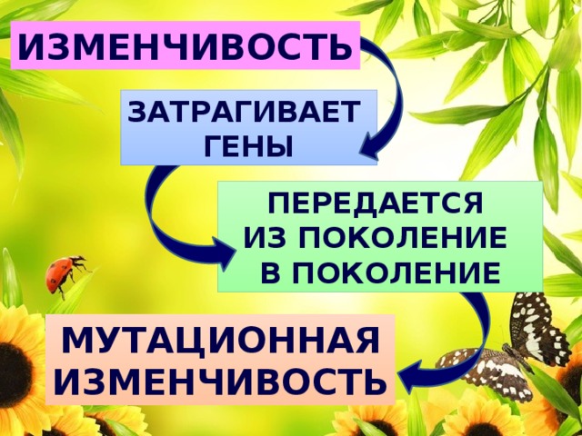 изменчивость затрагивает гены передается из поколение в поколение мутационная изменчивость 