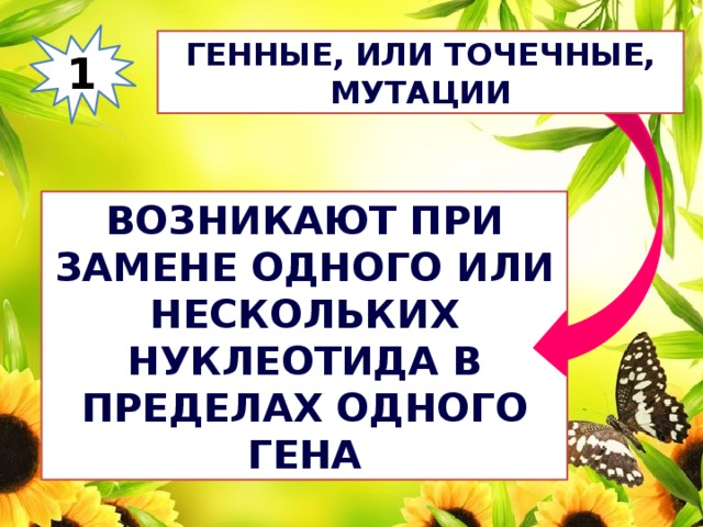 1 Генные, или точечные, мутации Возникают при замене одного или нескольких нуклеотида в пределах одного гена 