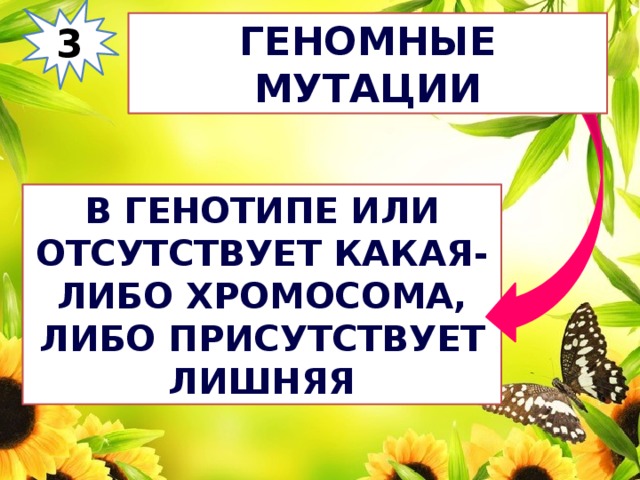 3 Геномные мутации В генотипе или отсутствует какая-либо хромосома, либо присутствует лишняя 