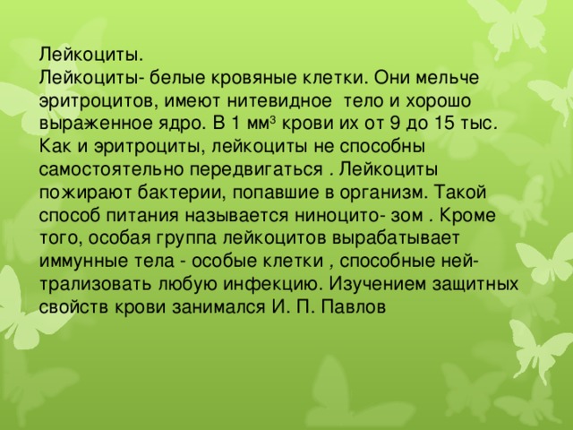 Лейкоциты. Лейкоциты- белые кровяные клетки. Они мельче  эритроцитов, имеют нитевидное тело и хорошо выра­женное ядро. В 1 мм 3 крови их от 9 до 15 тыс . Как и эритроциты, лейкоциты не способны самостоятельно передвигаться . Лейкоциты пожирают бактерии, попавшие в организм. Такой способ питания называется ниноцито- зом . Кроме того, особая группа лейкоцитов вырабаты­вает иммунные тела - особые клетки , способные ней­трализовать любую  инфекцию. Изучением защитных свойств крови занимался И. П. Павлов 