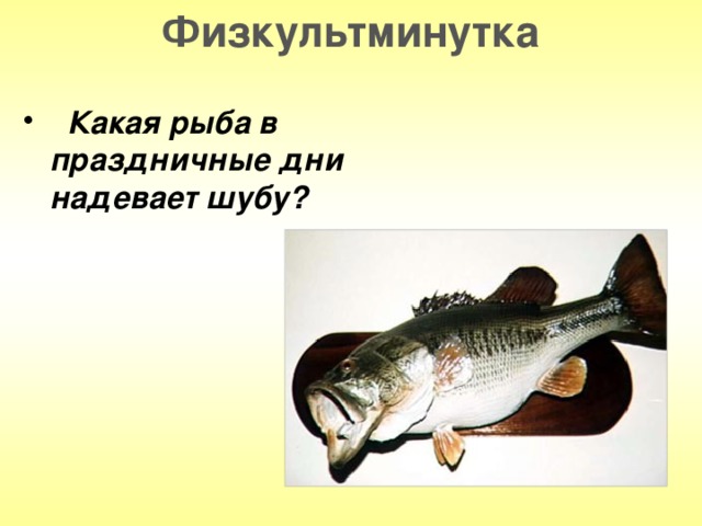 Физкультминутка