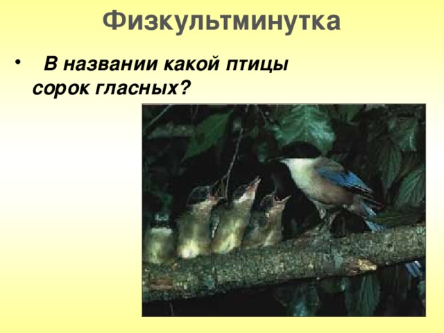 Физкультминутка