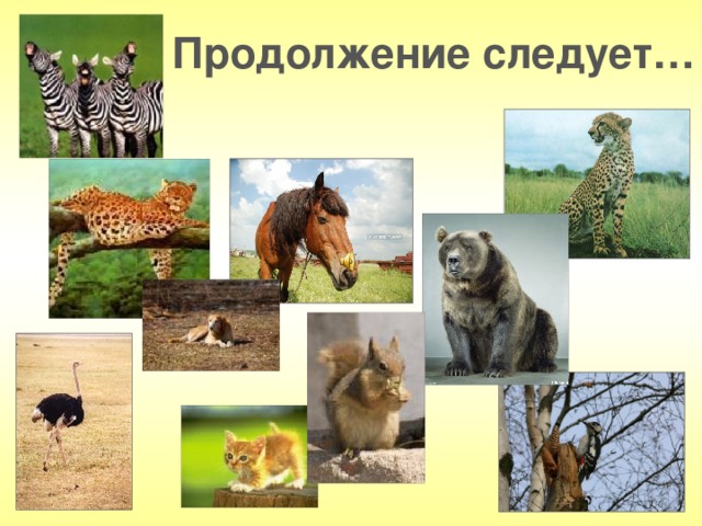 Продолжение следует…