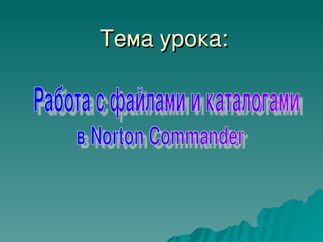 Тема урока: 