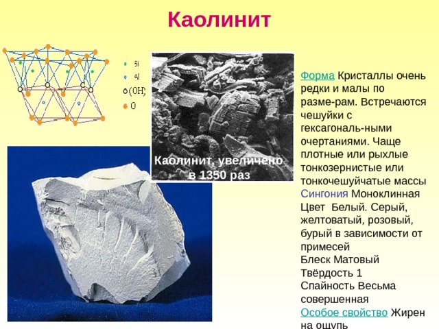 Каолинит Форма Кристаллы очень редки и малы по разме-рам. Встречаются чешуйки с гексагональ-ными очертаниями. Чаще плотные или рыхлые тонкозернистые или тонкочешуйчатые массы Сингония Моноклинная Цвет Белый. Серый, желтоватый, розовый, бурый в зависимости от примесей Блеск Матовый Твёрдость 1 Спайность Весьма совершенная Особое свойство Жирен на ощупь Каолинит, увеличено в 1350 раз 