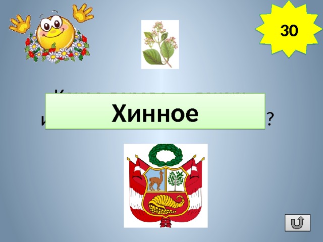 30 Какое дерево - «лекарь» изображено на гербе Перу? Хинное 