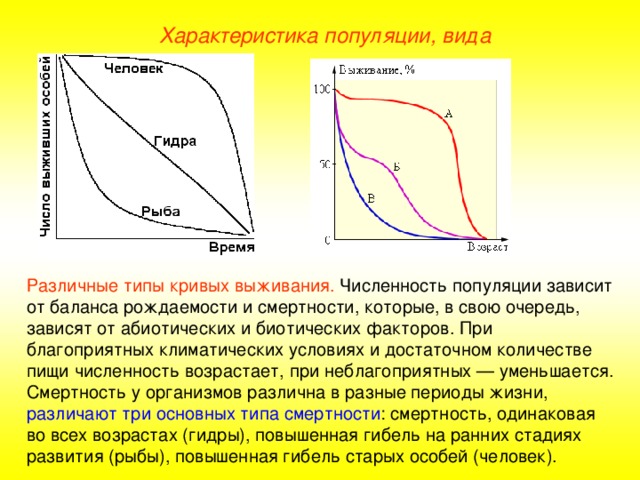 Характеристика популяции численность