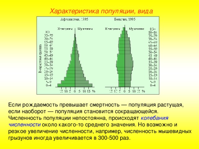 Характеристика популяции численность