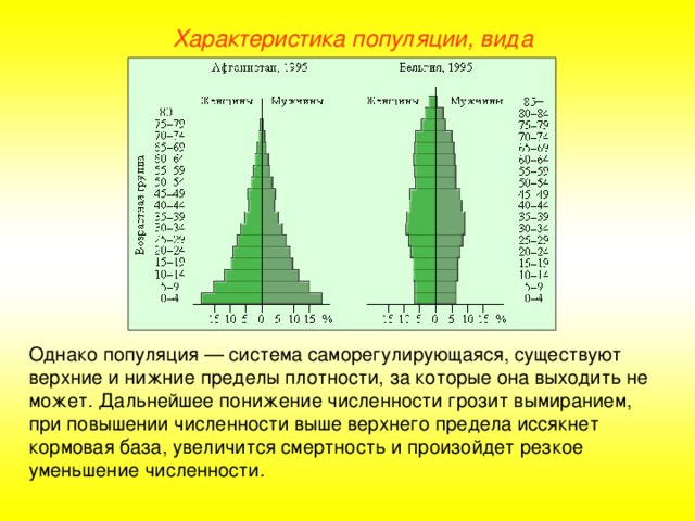 2 экологическая популяция