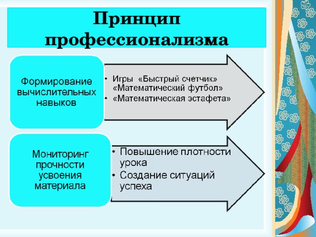 Принцип профессионализма 