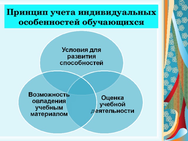 Принцип учета индивидуальных особенностей обучающихся 