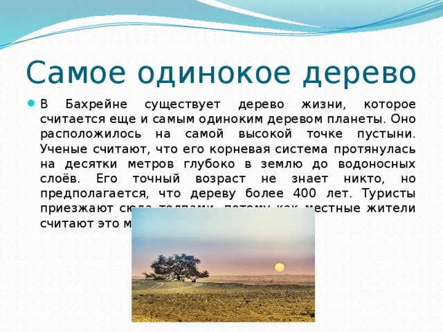 Самое одинокое дерево В Бахрейне существует дерево жизни, которое считается еще и самым одиноким деревом планеты. Оно расположилось на самой высокой точке пустыни. Ученые считают, что его корневая система протянулась на десятки метров глубоко в землю до водоносных слоёв. Его точный возраст не знает никто, но предполагается, что дереву более 400 лет. Туристы приезжают сюда толпами, потому как местные жители считают это место Райским садом. 