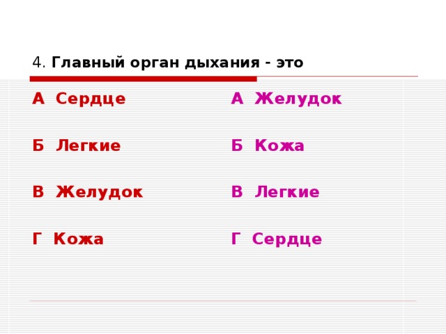 4. Главный орган дыхания - это А Сердце  Б Легкие  В Желудок  Г Кожа А Желудок  Б Кожа  В Легкие  Г Сердце 