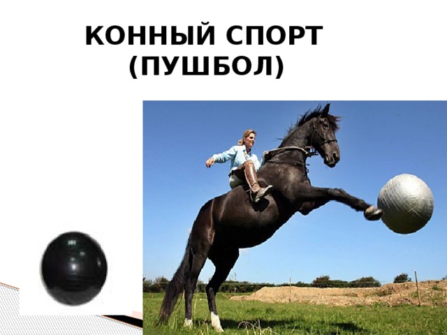 КОННЫЙ СПОРТ  (ПУШБОЛ) 