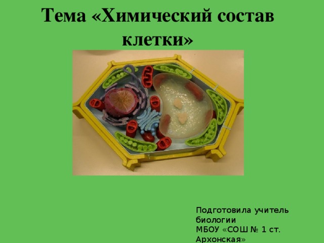 Химический состав клетки картинки